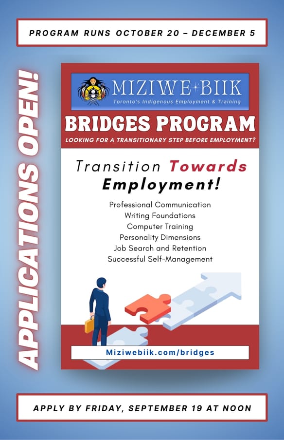 Bridges Program 🧩 Applications Open!
